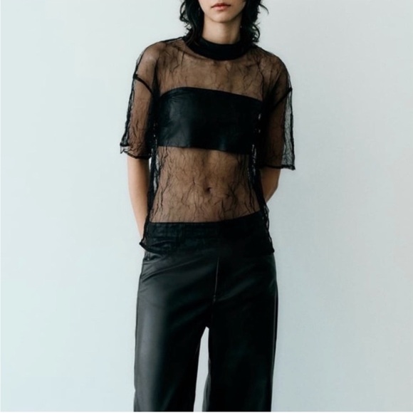 Zara Elegant Black Sheer Blouse - Picture 7 of 9